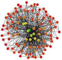 social networks