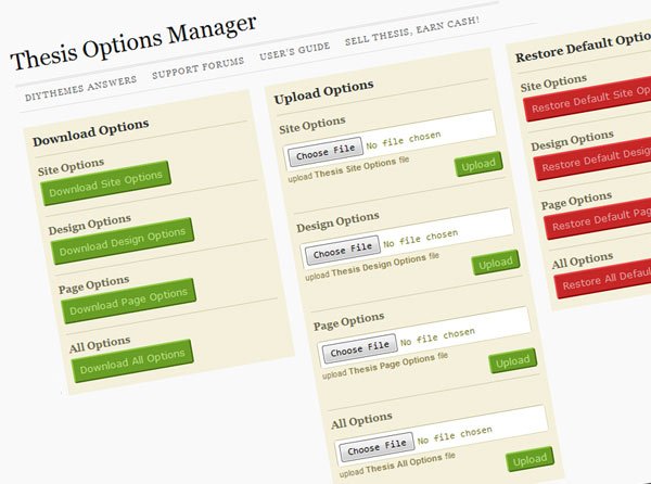 thesis_1.7_options thesis_1.7_options