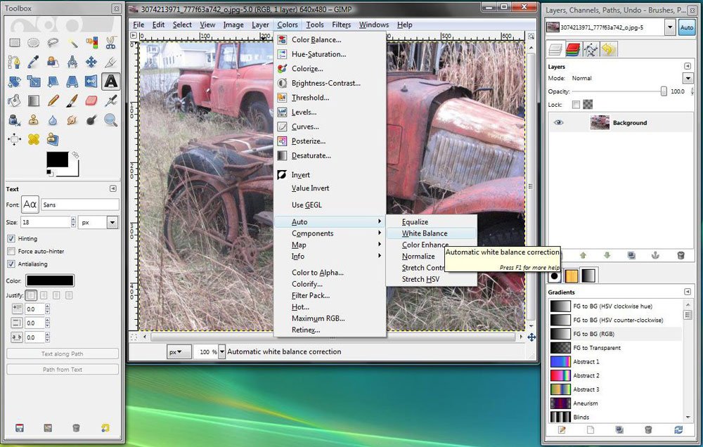 GIMPscreen GIMP screen 1