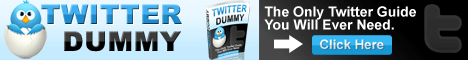 Twitter Dummy Guide Twitter Dummy Guide