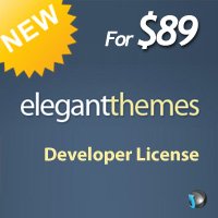 Is ElegantThemes Developer License Another Way to Make Money?