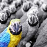 How to Stand Out of the Crowd in Blogging Industry