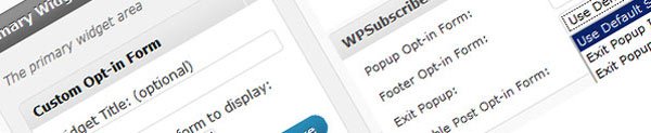 WPSubscribers option panel