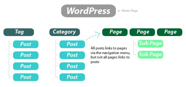 wordpress pages vs posts wordpress pages vs posts