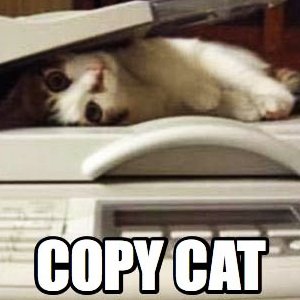 http://www.famousbloggers.net/wp-content/uploads/2012/02/copy-cat.jpg