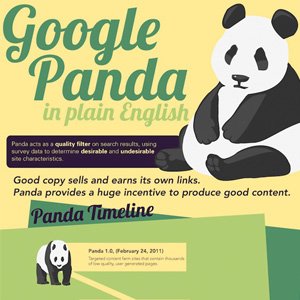 Google Panda Infographic
