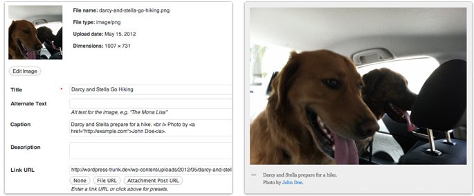 wordpress image caption wordpress image caption