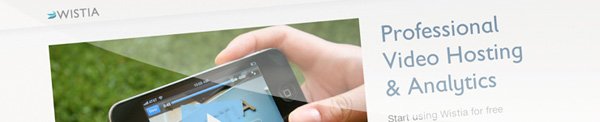 wistia video hosting option