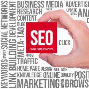 Link Building Expert
